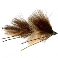 Rainy's Galloup's Peanut Envy Brown