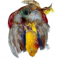 Wapsi Fly Feathers Golden Pheasant Whole Skin