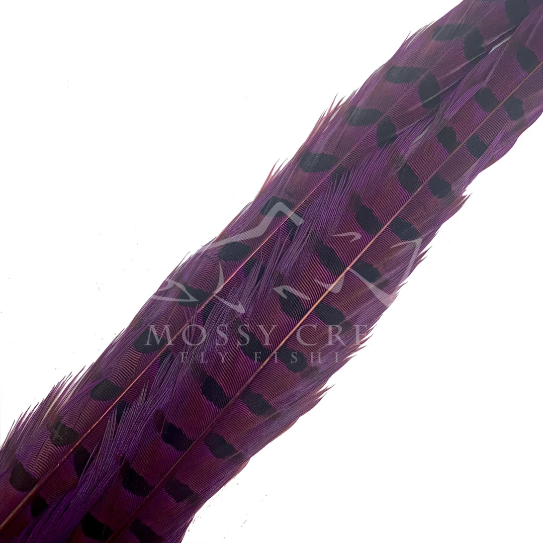 Wapsi Fly Ringneck Pheasant Tail Feathers 10 Wapsi Fly Ringneck Pheasant Tail Feathers