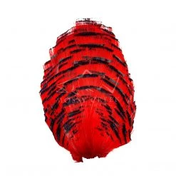 Wapsi Fly Golden Pheasant Tippet Section