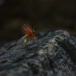 Tiemco TMC 2487 Nymph Hook 25 Pack