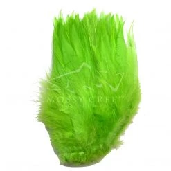 Wapsi Fly Feathers Strung Rooster Saddle Hackle