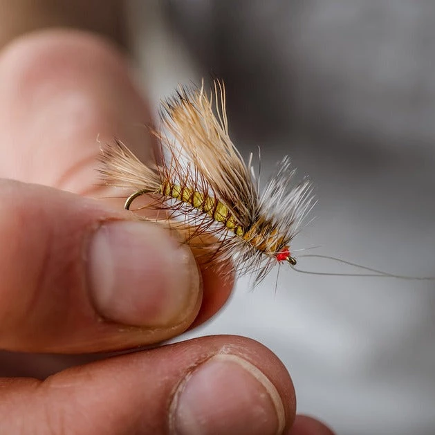 Tiemco TMC 200R Nymph Hook 25 Pack 5 Tiemco TMC 200R Nymph Hook 25 Pack