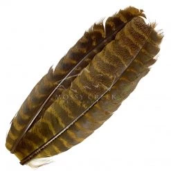 Wapsi Fly Feathers Ozark Turkey Quill Barred