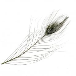 Hareline Stripped Peacock Eyes Feathers 9 Hareline Stripped Peacock Eyes Feathers