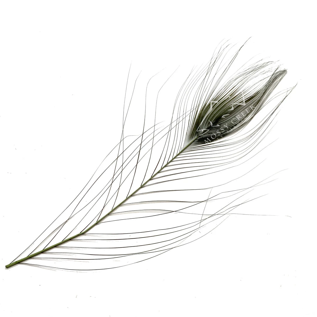 Hareline Stripped Peacock Eyes Feathers 4 Hareline Stripped Peacock Eyes Feathers