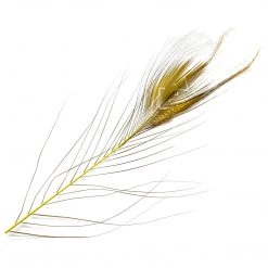 Hareline Stripped Peacock Eyes Feathers 8 Hareline Stripped Peacock Eyes Feathers