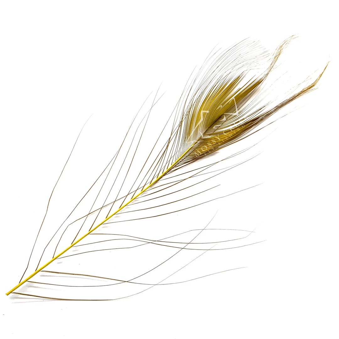 Hareline Stripped Peacock Eyes Feathers 3 Hareline Stripped Peacock Eyes Feathers