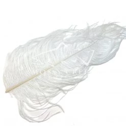 Wapsi Fly Ostrich Plumes Feathers 16 Wapsi Fly Ostrich Plumes Feathers