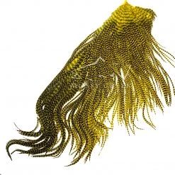 Hareline Feathers Keough Grade #1 Half Saddle Grizzly Yellow